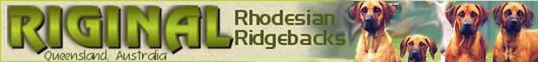 Riginal Rhodesian Ridgebacks
