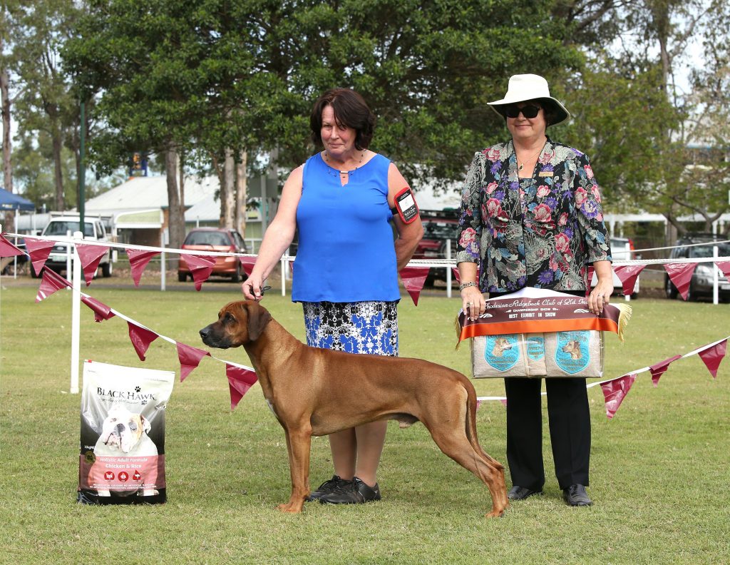 Best In Show – Riginal Rhodesian Ridgebacks