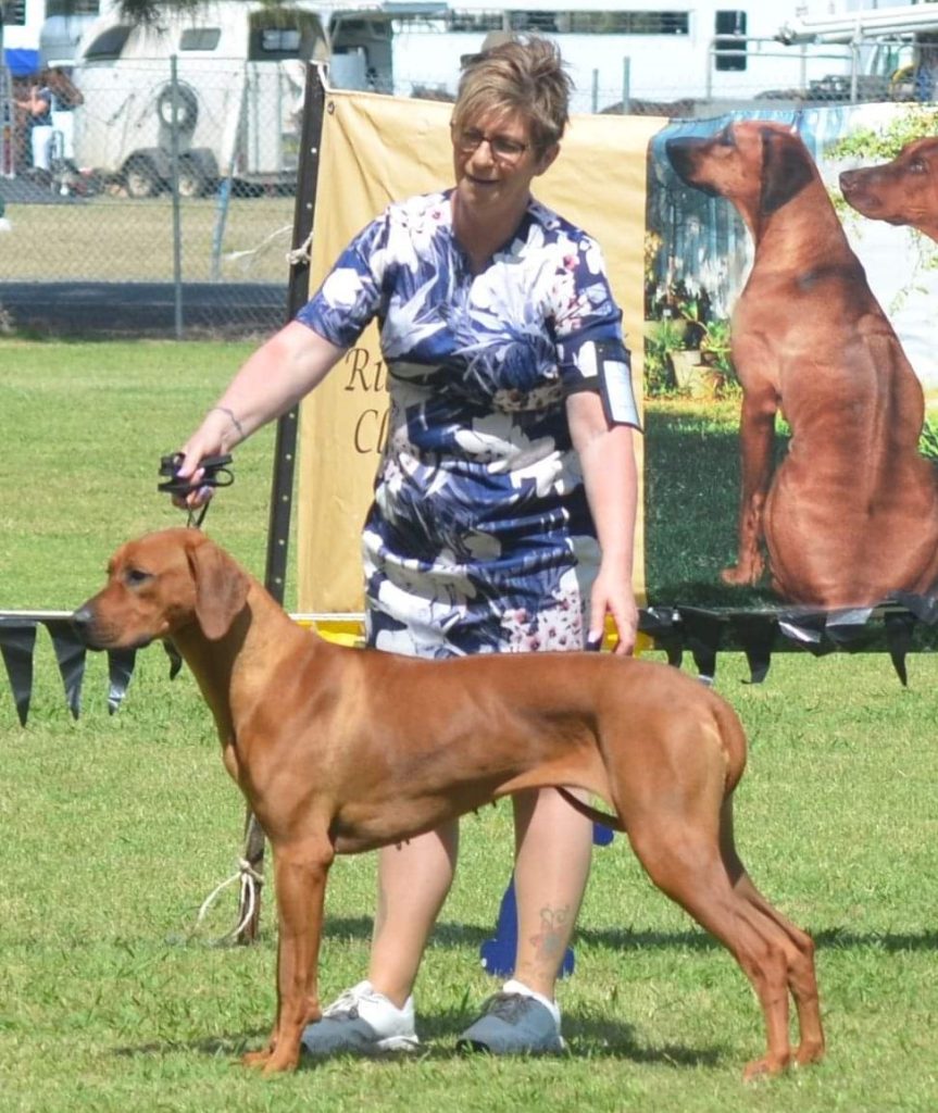 Updates 2025 – Riginal Rhodesian Ridgebacks