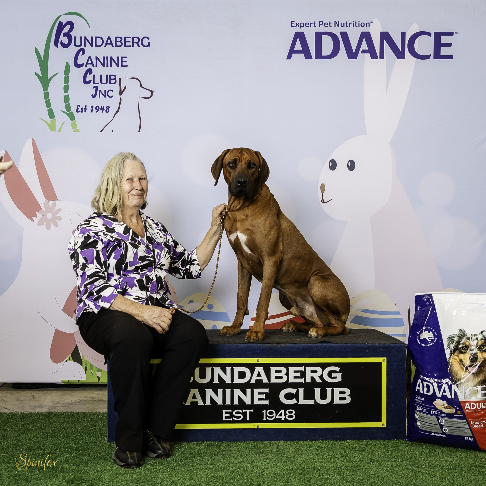 Updates 2025 – Riginal Rhodesian Ridgebacks